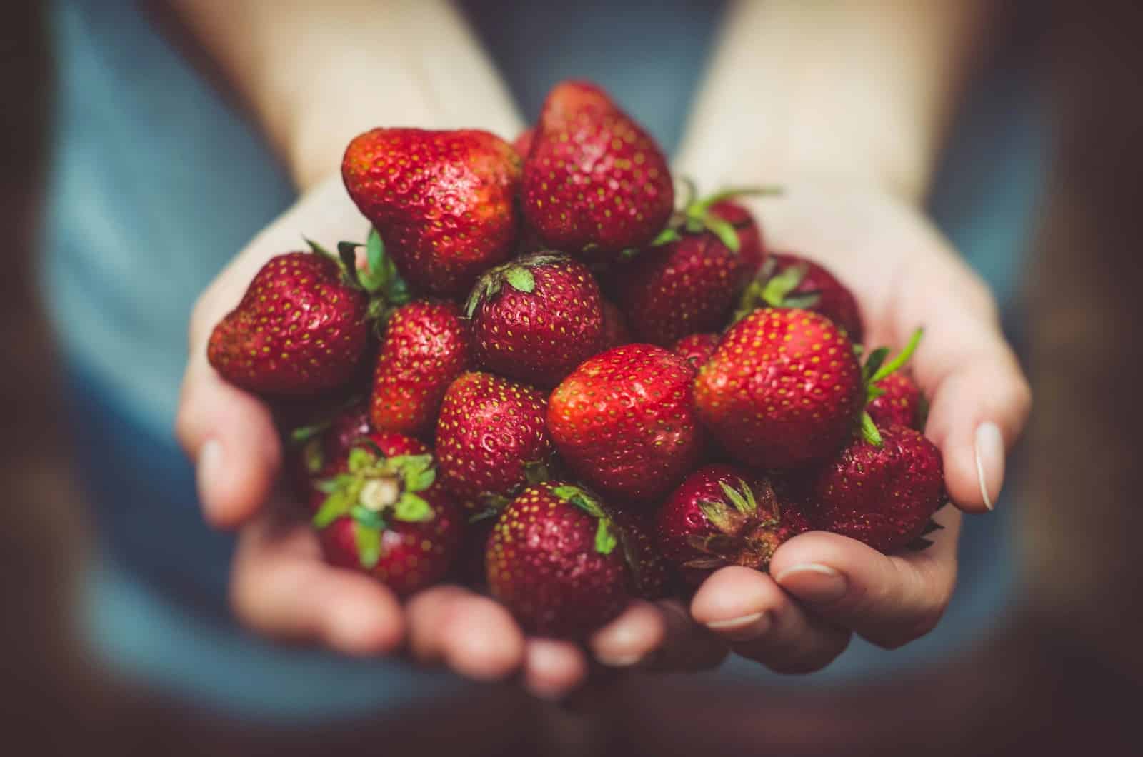 Votre régime alimentaire pendant une FIV