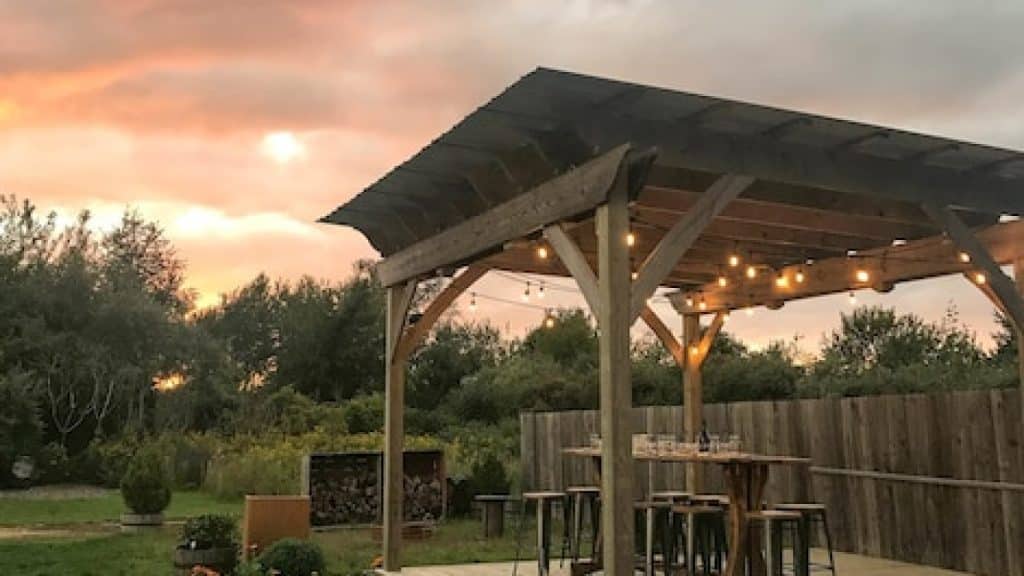 Pergola dans son jardin : tout ce qu’il faut savoir avant de se lancer